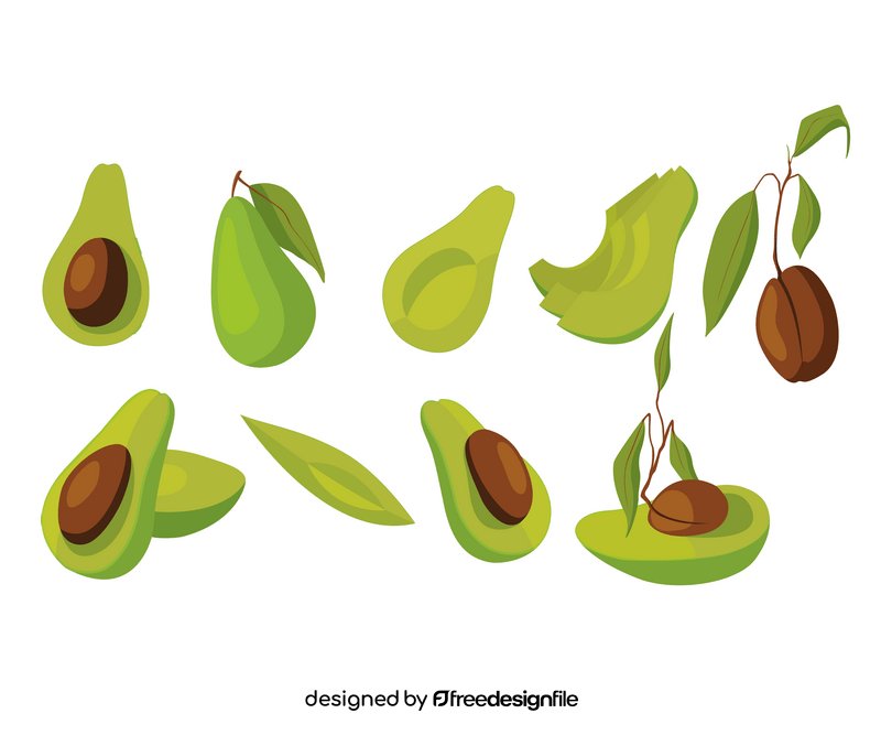 Half cut avocados, avocado slices vector