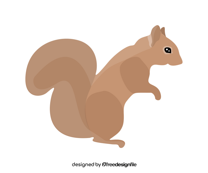 Cute squirrel illustration clipart
