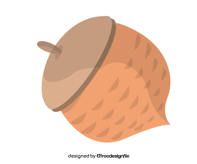 Acorn nut clipart