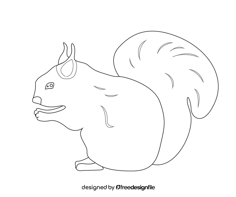 Squirrel black and white clipart