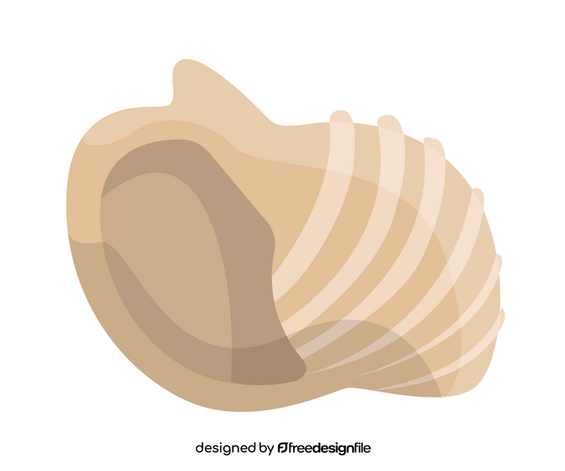 Cartoon seashell clipart