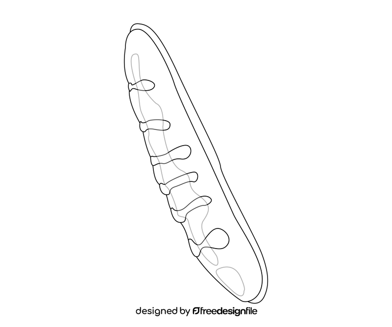 Baguette french bread illustration black and white clipart