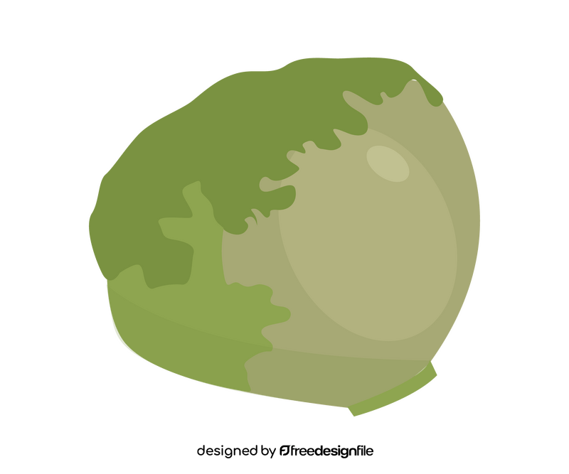 Cabbage free clipart