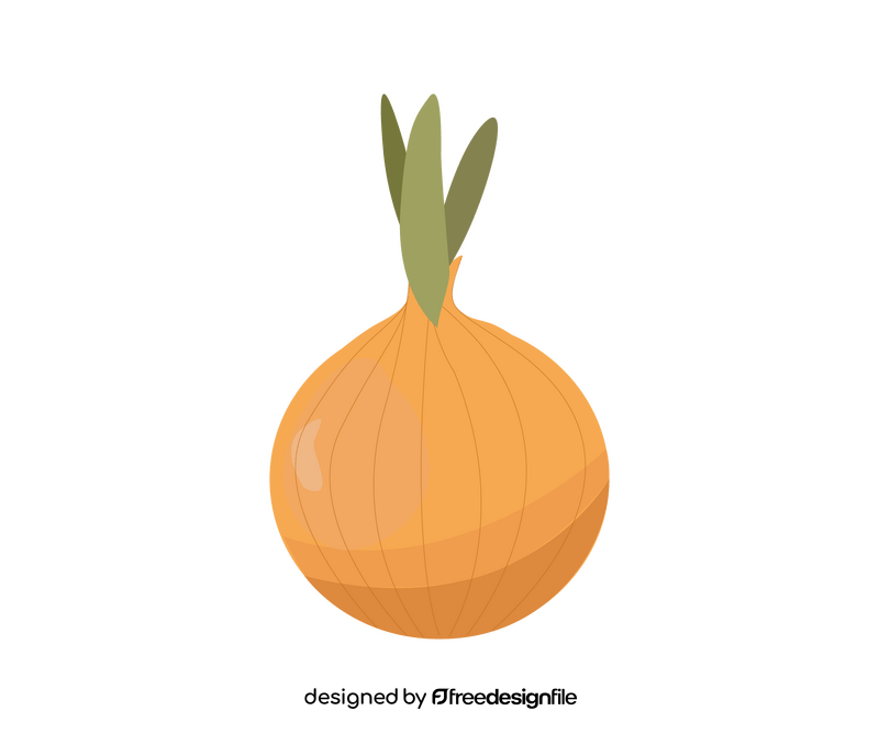 Onion vegetable free clipart