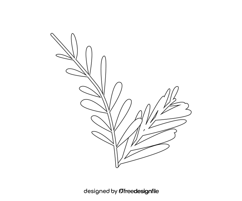 Cartoon spruce branch black and white clipart