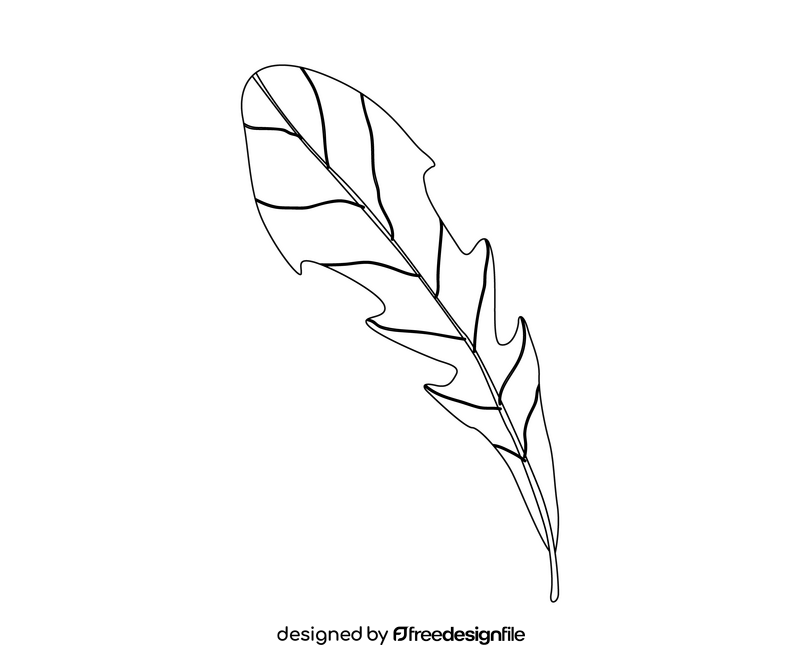 Arugula leaf black and white clipart