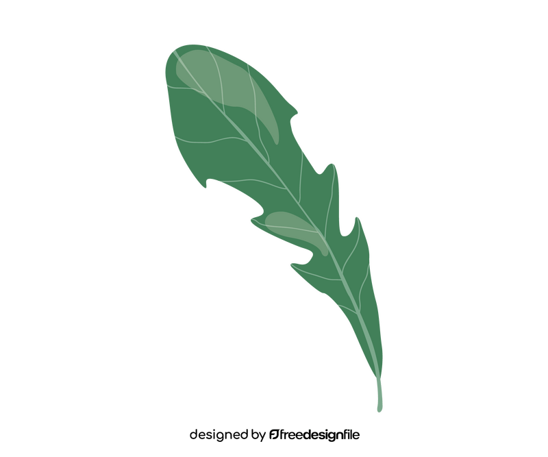 Arugula leaf clipart
