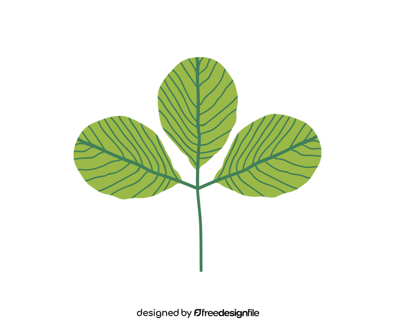 Cartoon green leaves clipart