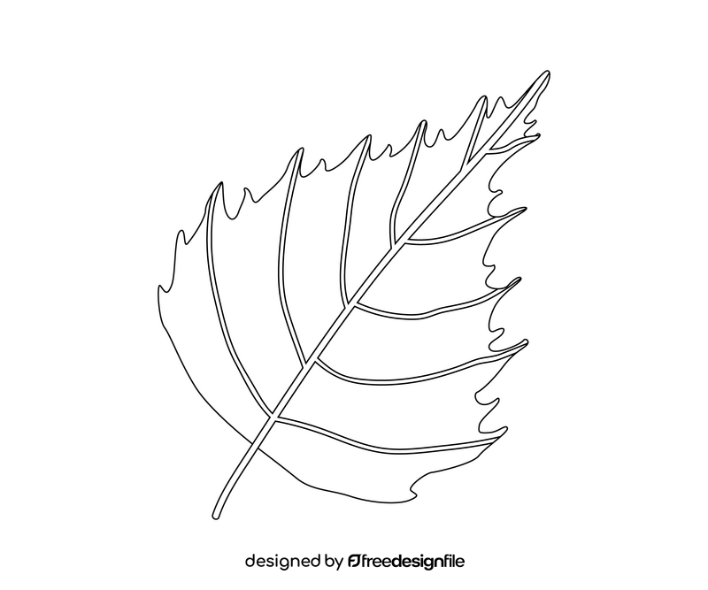 Birch leaves black and white clipart