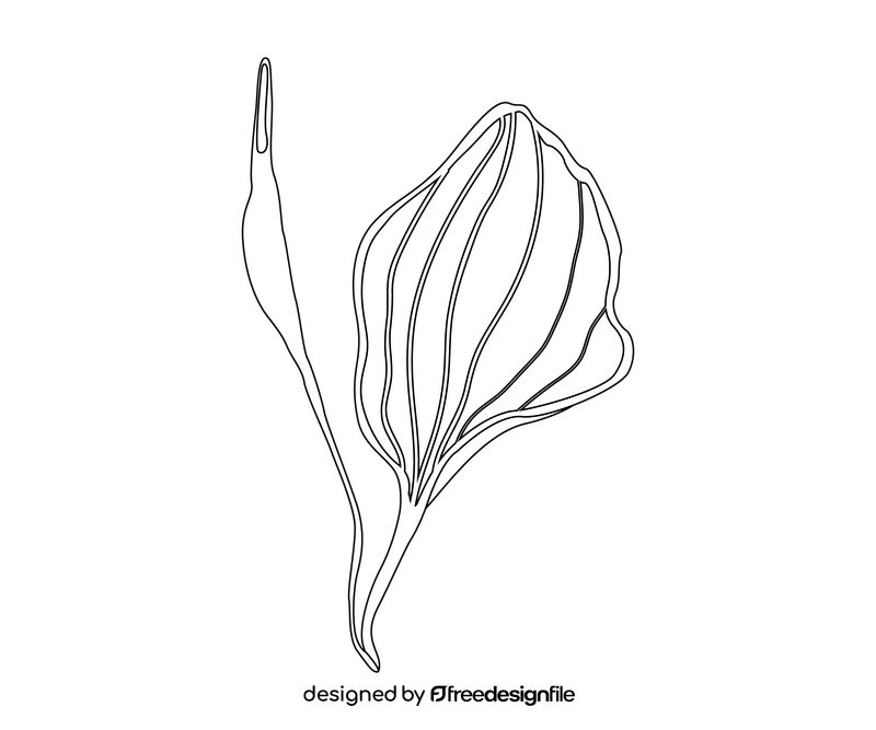 Green leaf illustration black and white clipart