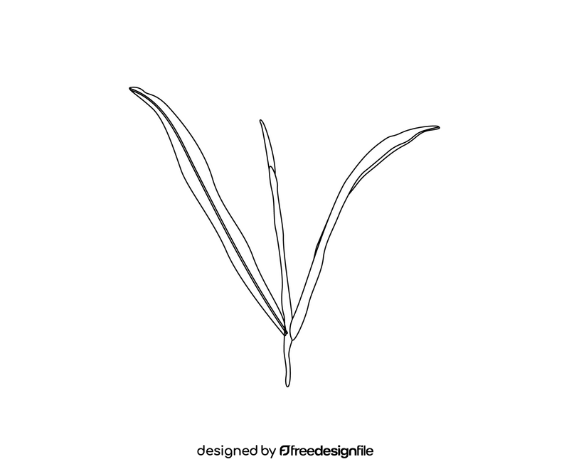 Willow leaves black and white clipart