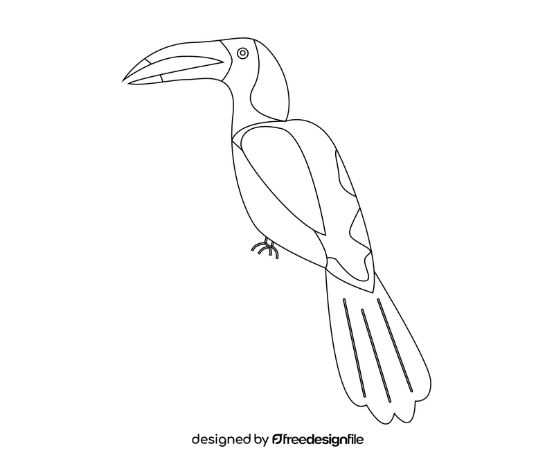 Toucan bird black and white clipart