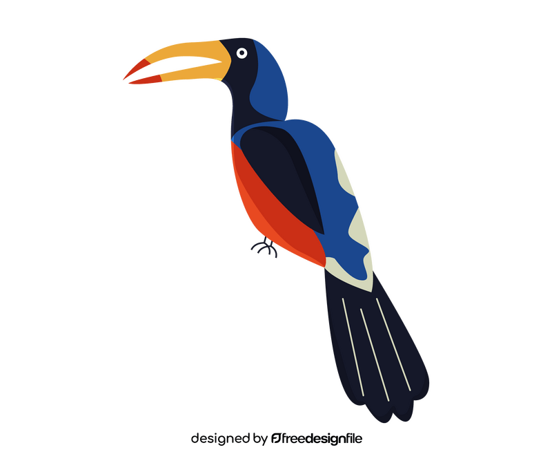 Toucan bird clipart