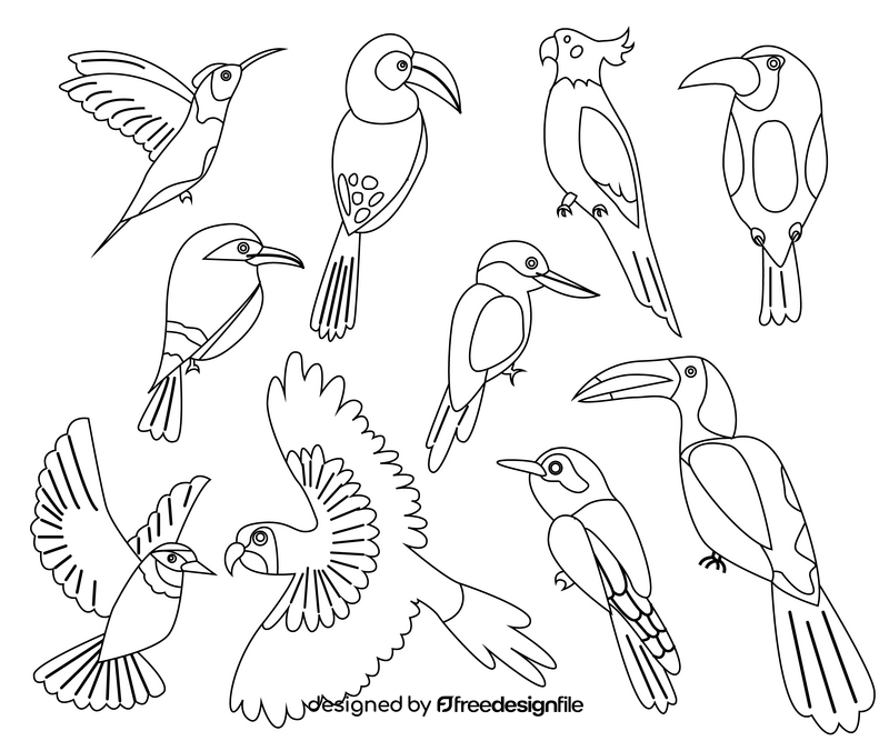 Set of birds black and white vector