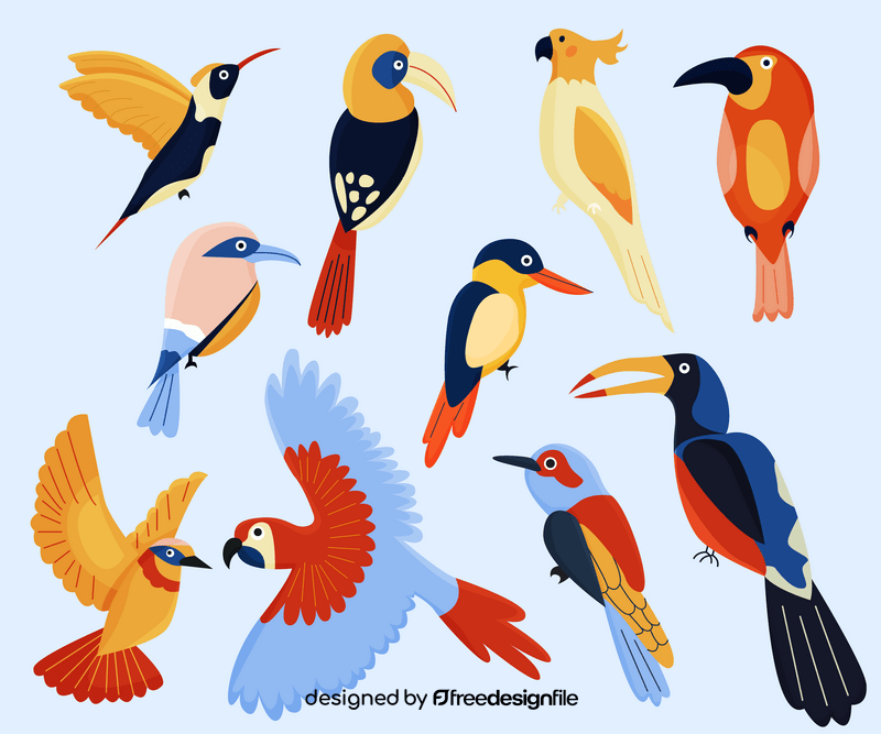 Set of birds vector