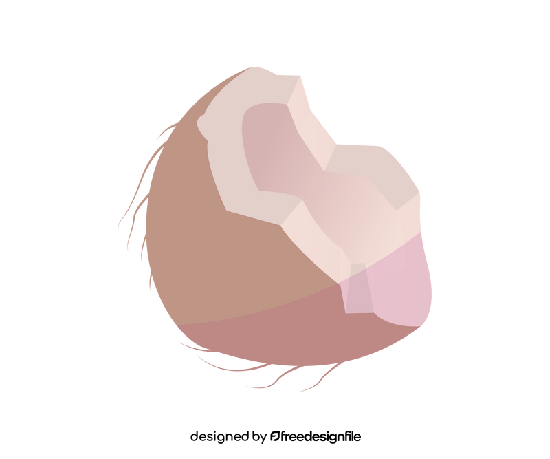 Cracked coconut clipart