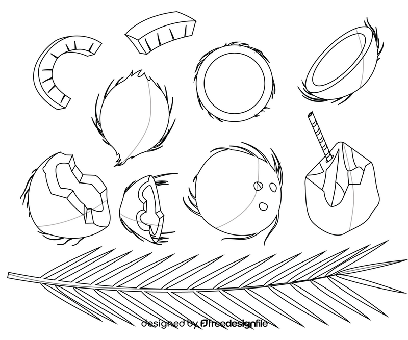 Whole and cracked coconuts black and white vector