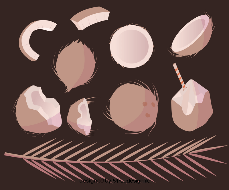 Whole and cracked coconuts vector