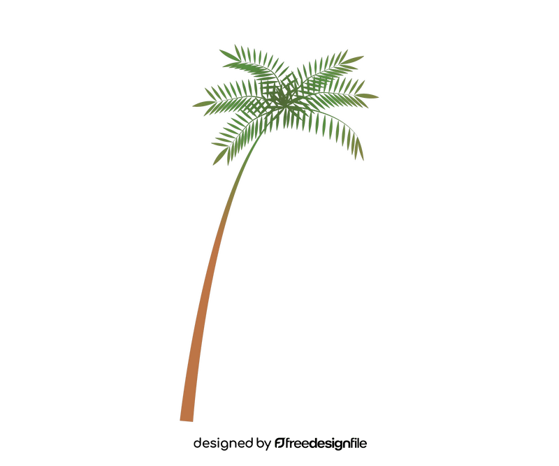 Cartoon palm tree clipart