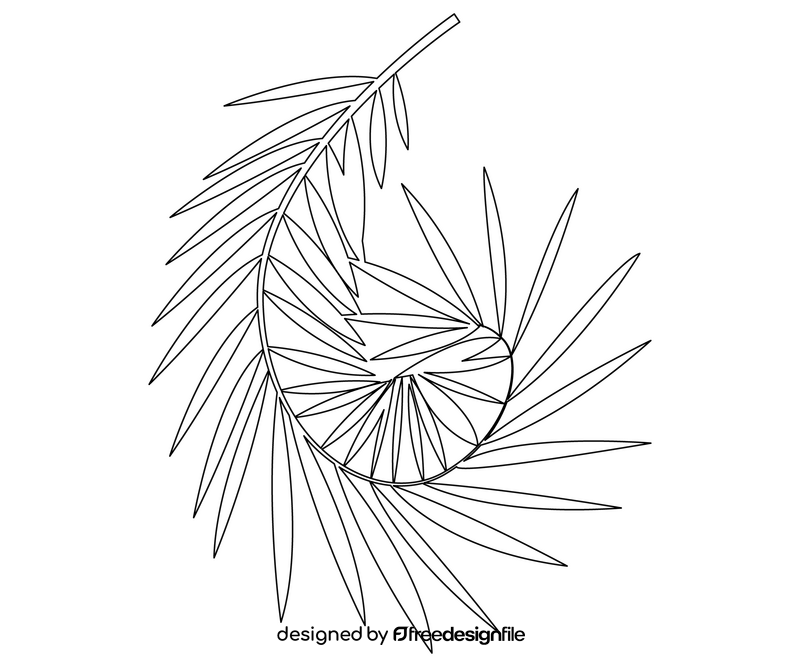 Cartoon palm leaf black and white clipart