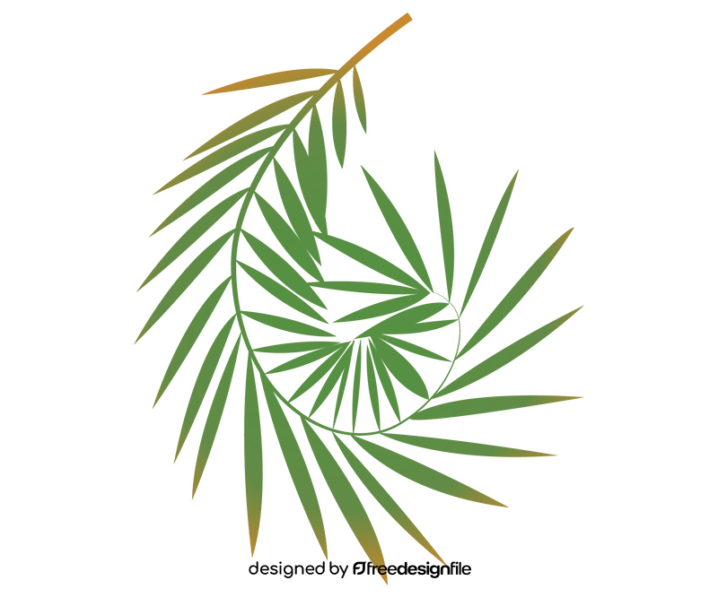 Cartoon palm leaf clipart