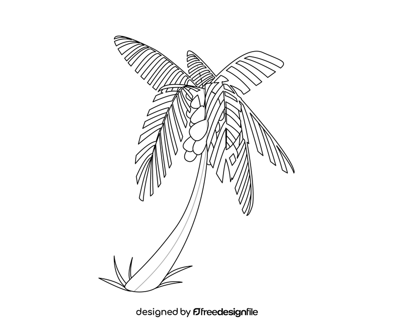 Palm tree drawing black and white clipart