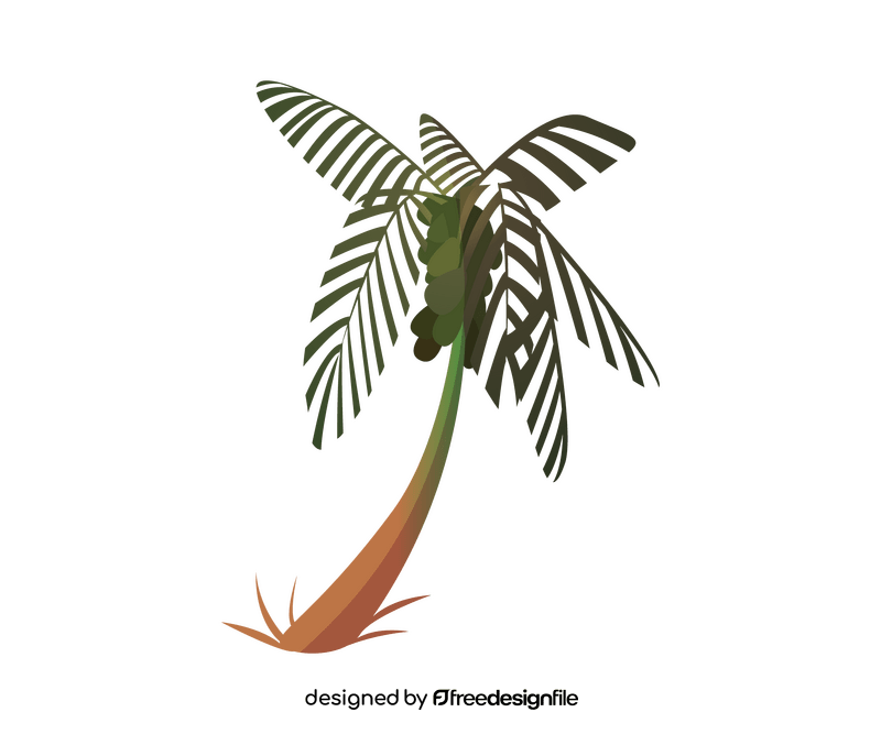 Palm tree drawing clipart