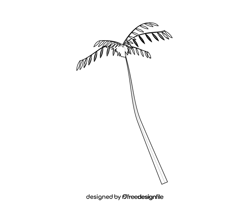 Palm tree illustration black and white clipart