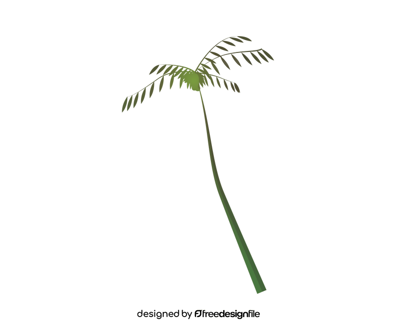 Palm tree illustration clipart