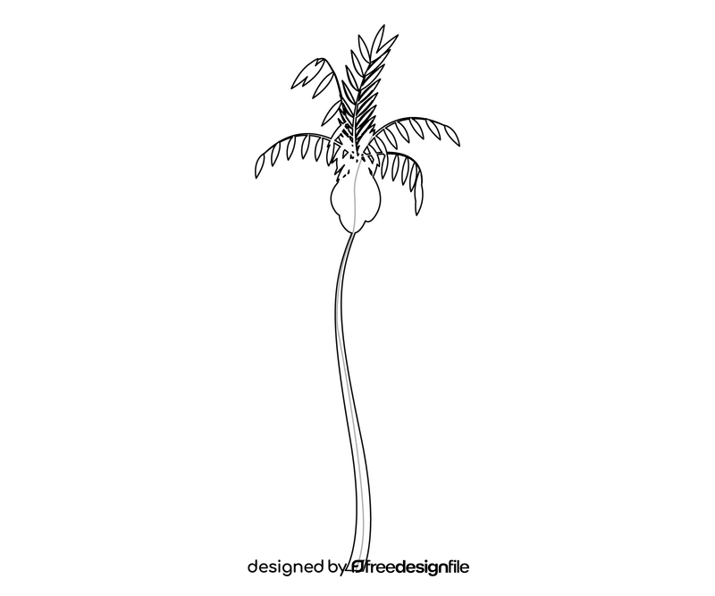 Palm tree free black and white clipart