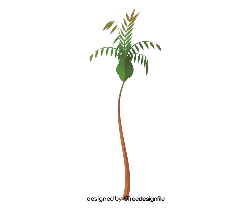 Palm tree free clipart
