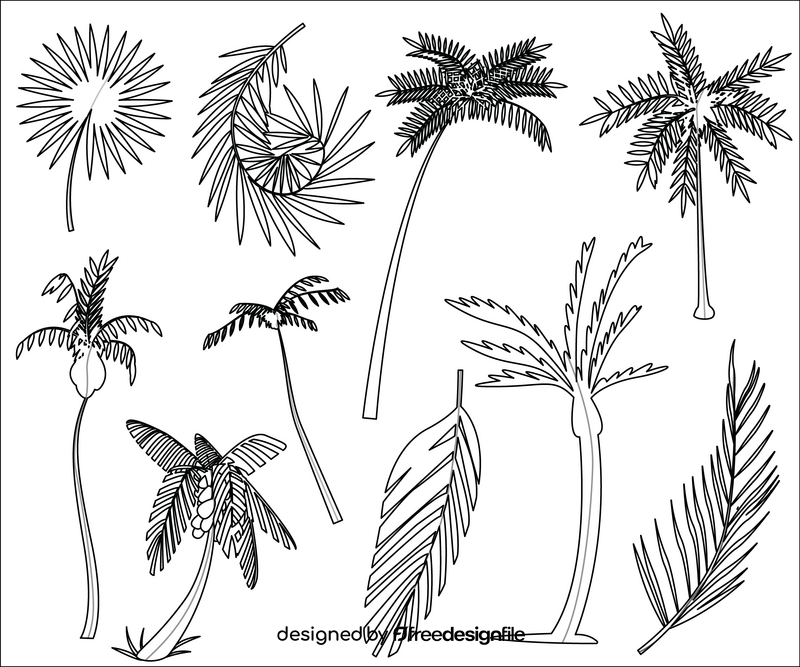 Tropical palm trees black and white vector free download