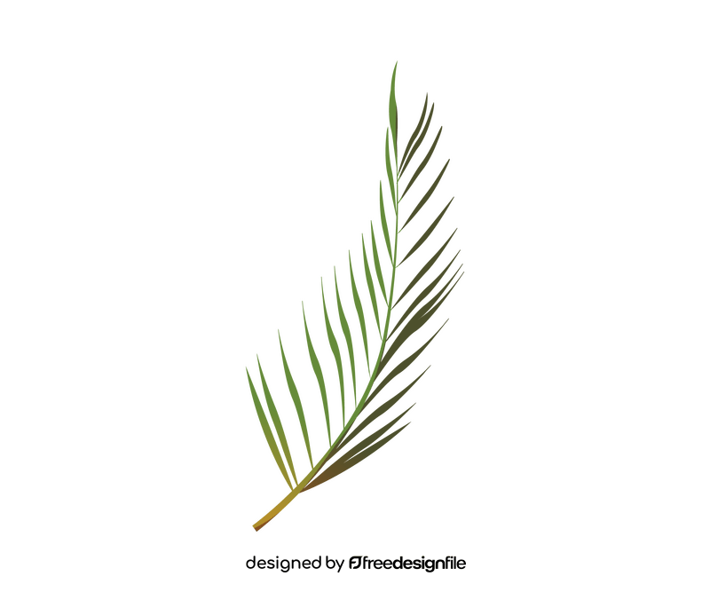 Palm leaf cartoon clipart