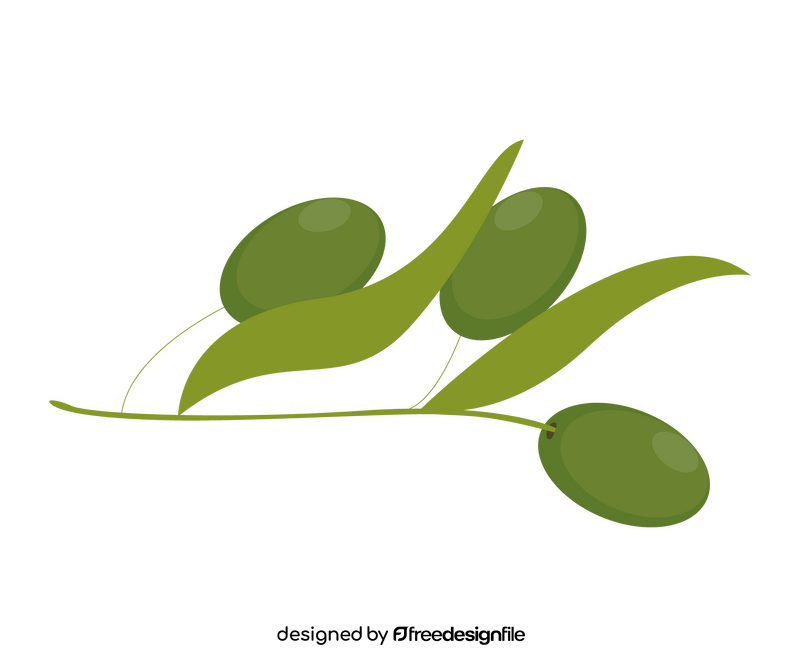 Olive branch illustration clipart