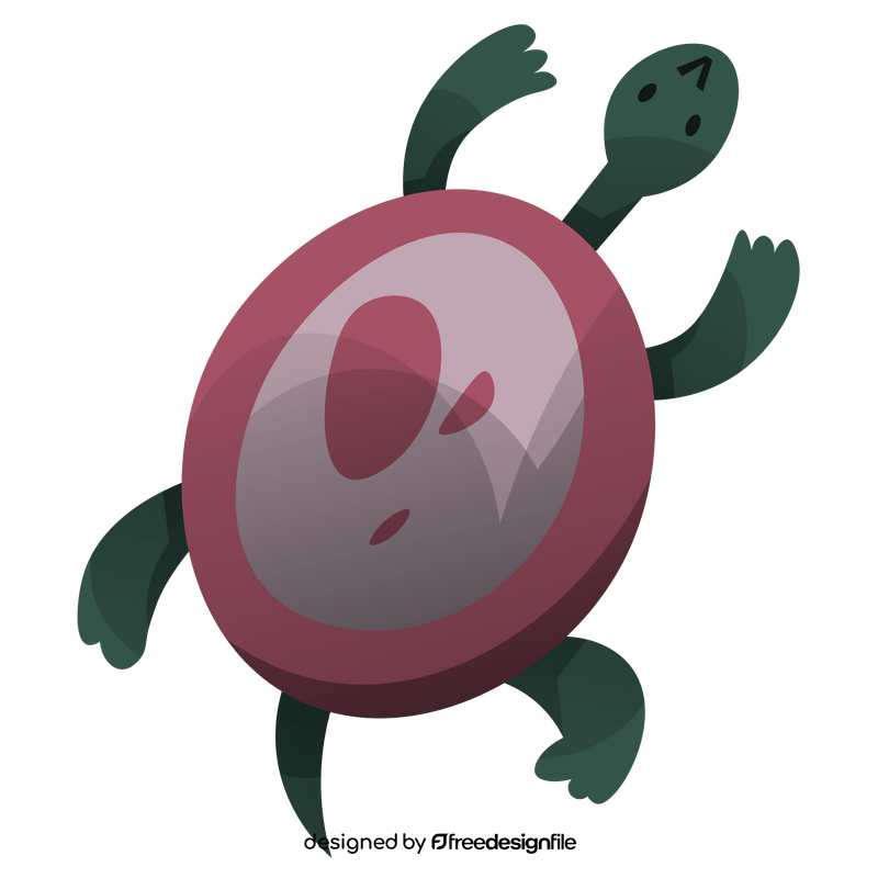 Turtle topview clipart