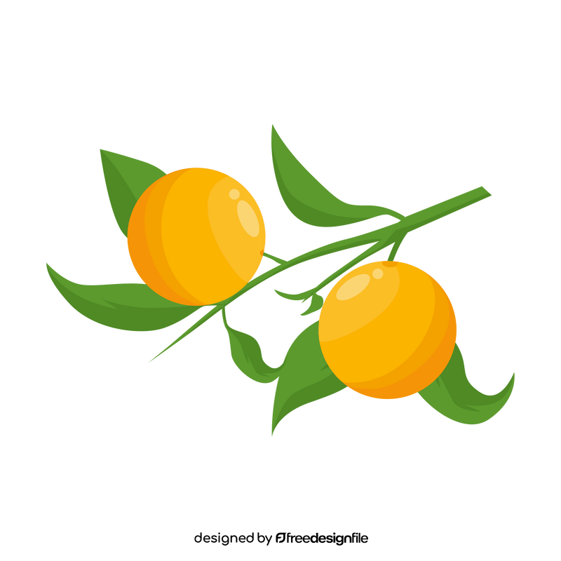 Orange branch clipart