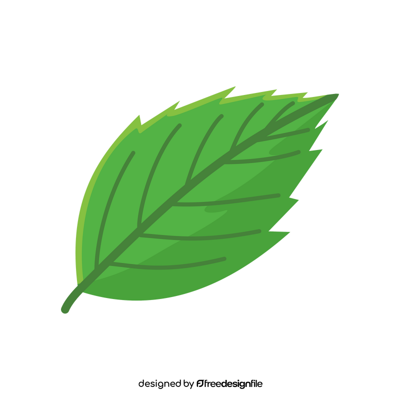 Strawberry leaf clipart