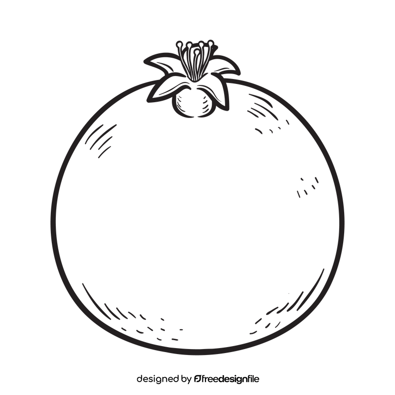 Pomegranate black and white clipart