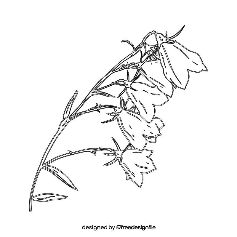 Bellflower black and white clipart