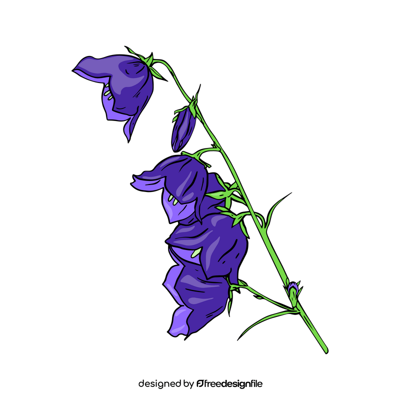 Bellflower clipart