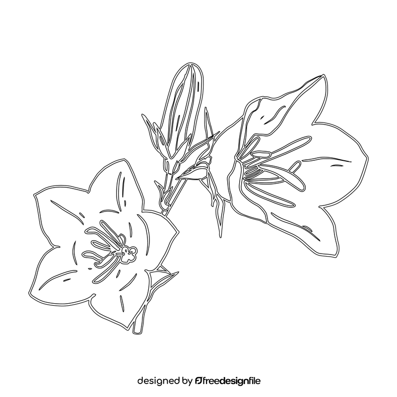 Bellflower black and white clipart