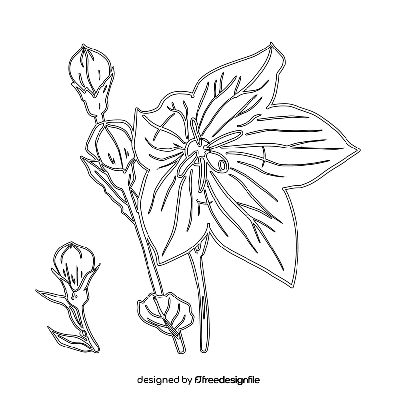 Bellflower black and white clipart