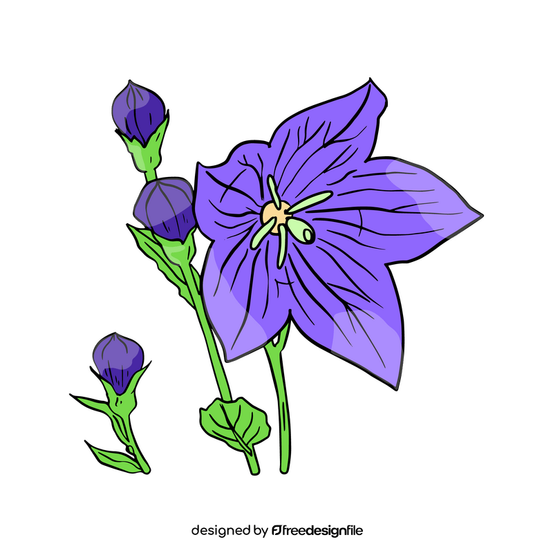 Bellflower clipart