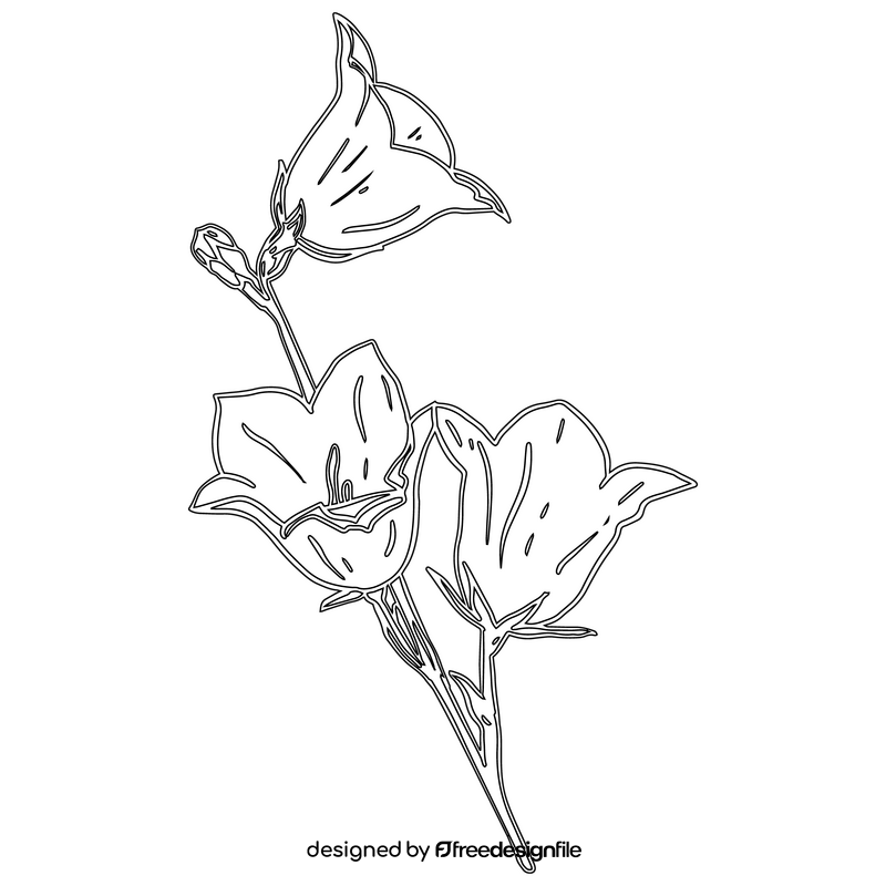 Bellflower black and white clipart