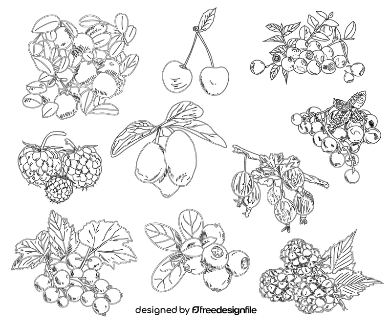 Types of Berries black and white vector