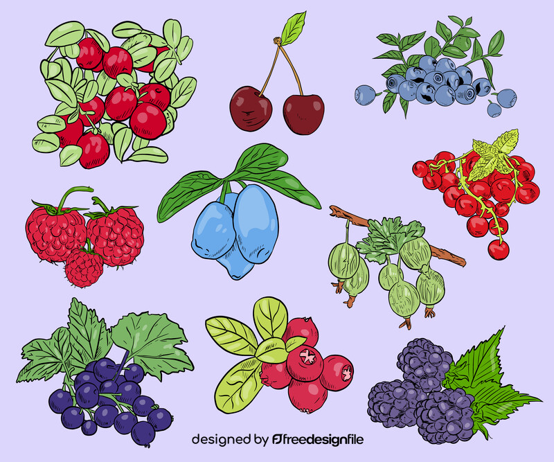 Types of Berries vector