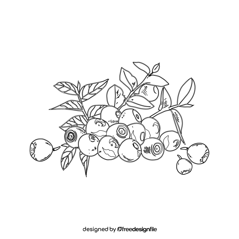 Blueberry black and white clipart