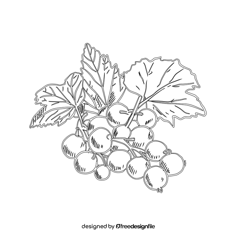 Currant black and white clipart