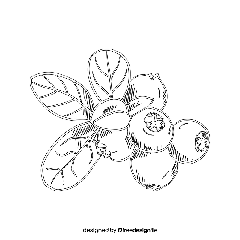 Lingonberry black and white clipart