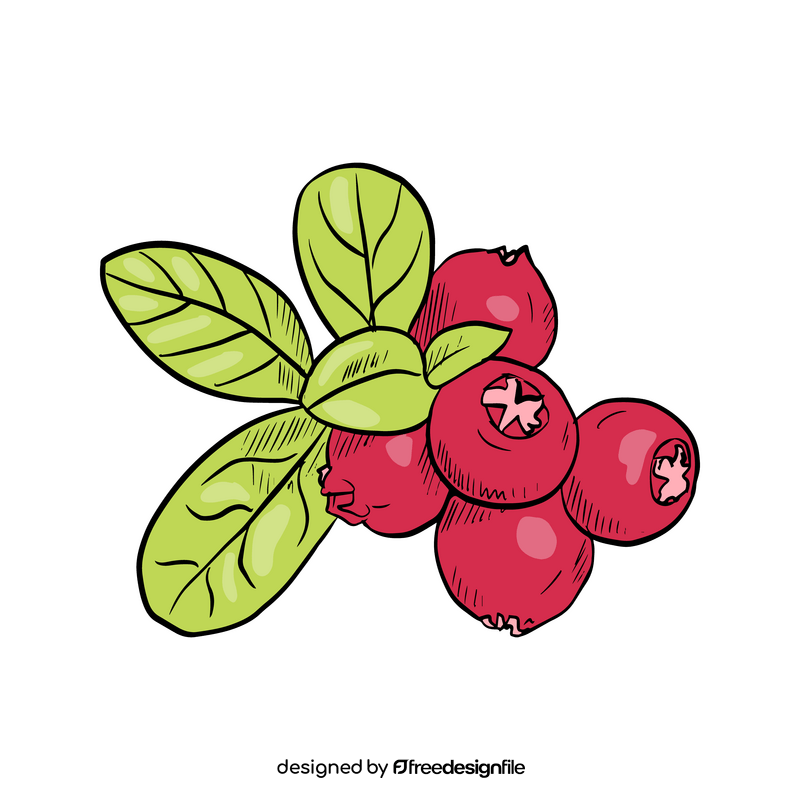 Lingonberry clipart